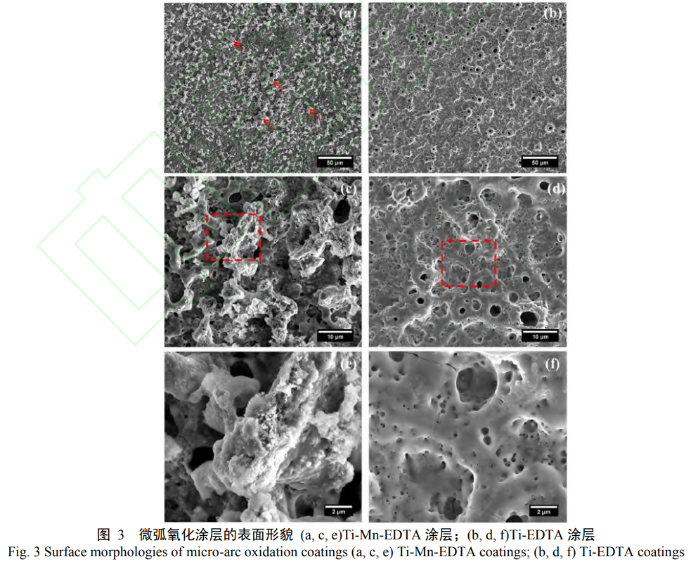 微弧氧化制備醫(yī)用鈦合金生物復(fù)合涂層研究進(jìn)展